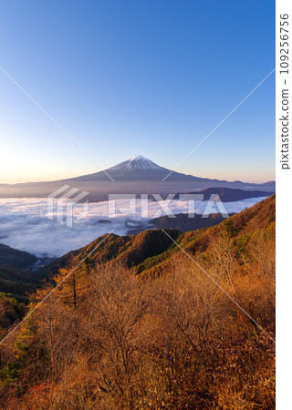 Japanese landscape "Mt. Fuji and sea of clouds" 109256756