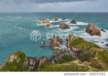 Coastal seaside landscape with cliffs, Nugget Point, New Zealand 109257281