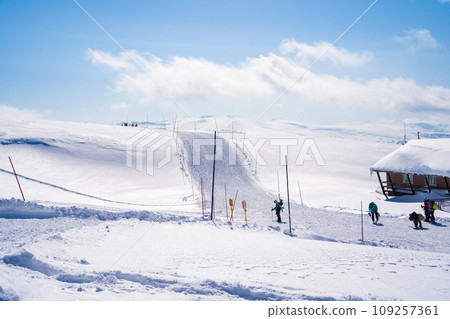 [Hokkaido/Daisetsuzan] Asahidake in winter 109257361