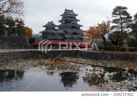 美麗的信州長野（松本城，秋末的紅葉和荷葉的景色訴說著400年的歷史故事） 松本市 109257402