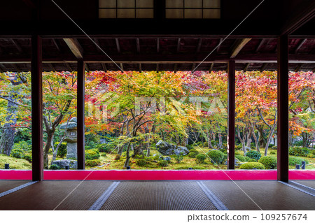 Scenery of Enkoji Temple Autumn leaves garden Kyoto City, Kyoto Prefecture Scenery of Enkoji Temple Autumn leaves garden Kyoto City, Kyoto Prefecture 109257674
