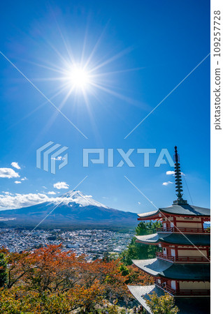 新倉山淺間公園，雄偉的富士山和朱紅色的五層寶塔，櫻花葉，秋天的光芒 109257728