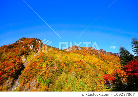Blazing autumn, Hokkaido in brocade autumn, October, autumn leaves in Sounkyo, Mt. Kurodake ropeway, Mt. Kurodake climbed by ropeway, red-yellow autumn leaves 109257807