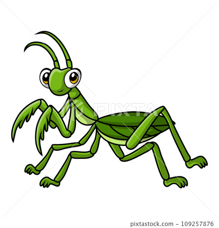 Cute mantis cartoon on white background Cute mantis cartoon on white background 109257876