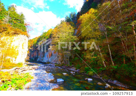 Blazing autumn, Hokkaido in brocade autumn, October, autumn leaves in Sounkyo, Mt. Kurodake ropeway, Mt. Kurodake climbed by ropeway, red-yellow autumn leaves Blazing autumn, Hokkaido in brocade autumn, October, autumn leaves in Sounkyo, Mt. Kurodake ropeway, Mt. Kurodake climbed by ropeway, red-yellow autumn leaves 109257913