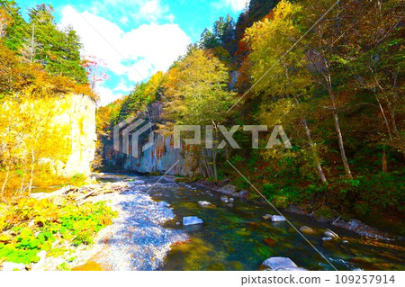 Blazing autumn, Hokkaido in brocade autumn, October, autumn leaves in Sounkyo, Mt. Kurodake ropeway, Mt. Kurodake climbed by ropeway, red-yellow autumn leaves 109257914