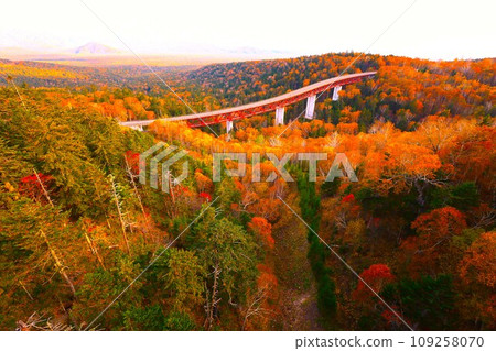 Hokkaido's fiery autumn and brocade autumn, October, the autumn leaves of Sounkyo, and Mikuni Pass with a view of Mt. Kurodake. 109258070