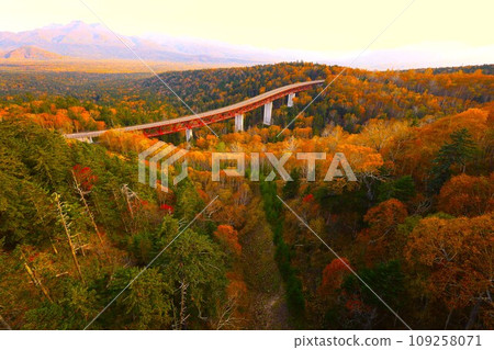 Hokkaido's fiery autumn and brocade autumn, October, the autumn leaves of Sounkyo, and Mikuni Pass with a view of Mt. Kurodake. 109258071