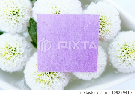 Mockup of title frame for autumn image with floating white chrysanthemum flowers floating in water as background Mockup of title frame for autumn image with floating white chrysanthemum flowers floating in water as background 109259410