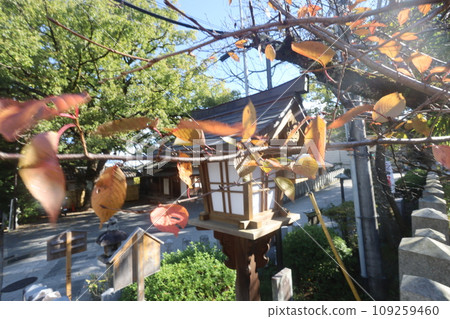 寺廟的秋葉 109259460