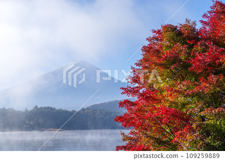 日本風景“富士山和紅葉” 日本風景“富士山和紅葉” 109259889