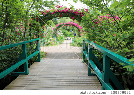 莫內花園裡的植物 莫內花園裡的植物 109259951