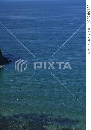 鱒魚固定網 109260163