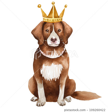 Watercolor drawing of cute dog wearing crown, transparent background 109260422