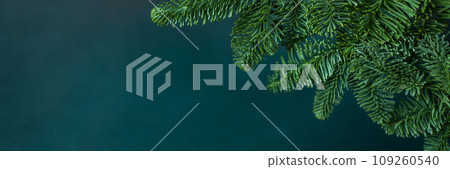 Fir branches background 109260540