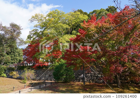 兵庫縣、丹波筱山、筱山城、本丸石牆和二之丸的秋葉(深秋) 兵庫縣、丹波筱山、筱山城、本丸石牆和二之丸的秋葉(深秋) 109261400