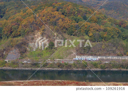 高橋川的紅葉與伯備線227系列車（岡山⇔新見） 109261916