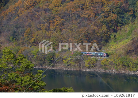 高橋川的紅葉與伯備線227系列車(岡山⇔新見) 高橋川的紅葉與伯備線227系列車(岡山⇔新見) 109261917