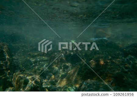 in the water, river, clear stream 109261956