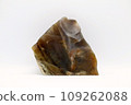 Petrified wood 109262088