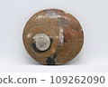 Ammonite fossil 109262090