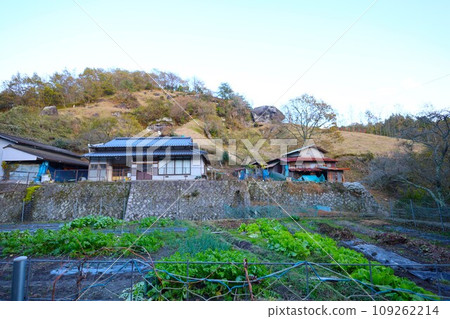 沿著縣道28號線往大分縣楠町矢馬溪行駛,發現了一座排列著紅色鳥居的山。 沿著縣道28號線往大分縣楠町矢馬溪行駛,發現了一座排列著紅色鳥居的山。 109262214