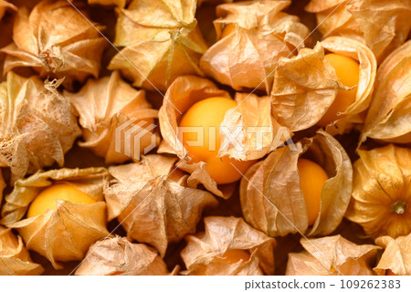 Cape gooseberry, Goldenberry or Physalis peruviana. Orange fruit background texture 109262383