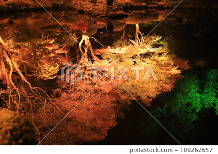 Miyagi Prefecture, Matsushima Entsuin Hospital light-up 109262657