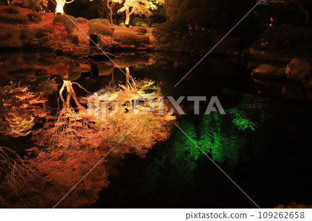 Miyagi Prefecture, Matsushima Entsuin Hospital light-up Miyagi Prefecture, Matsushima Entsuin Hospital light-up 109262658