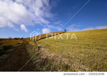 11月，九州之秋，熊本縣阿蘇地區南小國町，大志戶石山散步，秋日高空，九州駕車 109262696