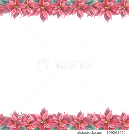 Watercolor painted seamless border, frame of red Poinsettia, Pulcherrima flowers, leaves, splashes. Plant illustration for Christmas, New Year card, invitation, package. Isolated white background Watercolor painted seamless border, frame of red Poinsettia, Pulcherrima flowers, leaves, splashes. Plant illustration for Christmas, New Year card, invitation, package. Isolated white background 109263031
