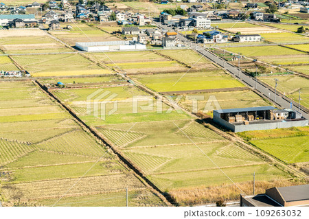 [Saitama Prefecture] Rural scenery of Koshigaya (November) 109263032