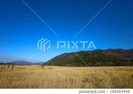Kuju Mountain Drive in Kyushu in November, crossing two prefectures: Kokonoe Town, Oita Prefecture and Oguni Town, Kumamoto Prefecture 109263448