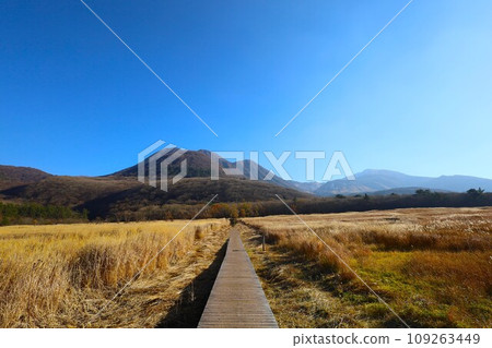 Kuju Mountain Drive in Kyushu in November, crossing two prefectures: Kokonoe Town, Oita Prefecture and Oguni Town, Kumamoto Prefecture 109263449