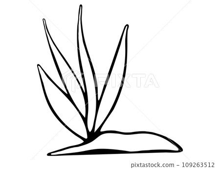 Black and White Grass with Stone Illustration Isolated on White Background. Black and White Grass with Stone Illustration Isolated on White Background. 109263512