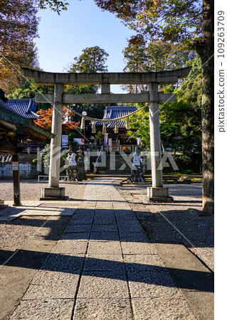 深谷站前的瀧宮神社（埼玉縣深谷市） 109263709