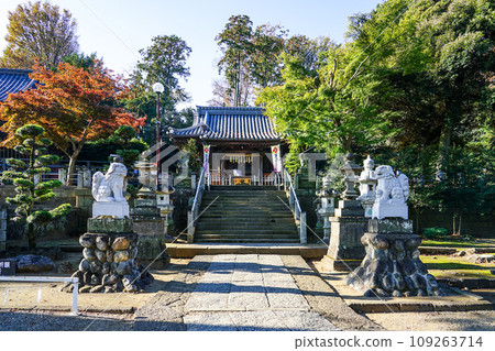 深谷站前的瀧宮神社(埼玉縣深谷市) 深谷站前的瀧宮神社(埼玉縣深谷市) 109263714