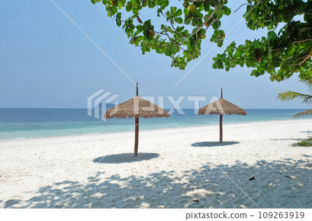 Tropical sea, shaded branches on a white sandy beach, parasols made from natural materials 109263919