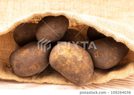 馬鈴薯（印加覺醒） 109264036