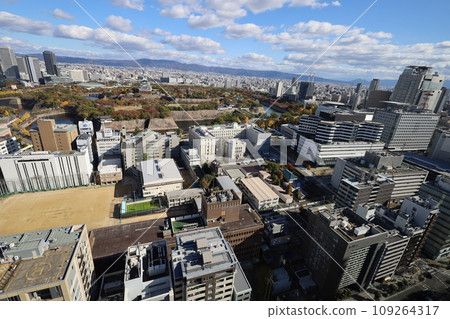 11月的大阪,秋葉的大阪城公園,秋日天空可欣賞大阪城的大阪商務公園,新飯店 11月的大阪,秋葉的大阪城公園,秋日天空可欣賞大阪城的大阪商務公園,新飯店 109264317