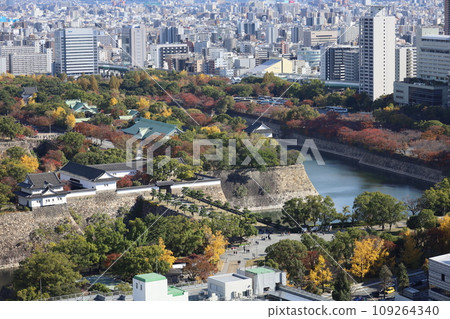 11月的大阪，秋葉的大阪城公園，秋日天空可欣賞大阪城的大阪商務公園，新飯店 109264340