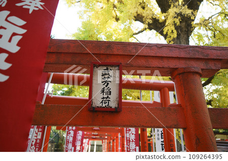 Takeyoshi Inarido in autumn leaves 109264395
