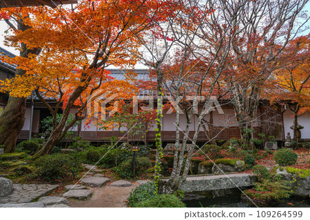 Koto Sanzan Baeksaiji Temple Autumn Koto Sanzan Baeksaiji Temple Autumn 109264599