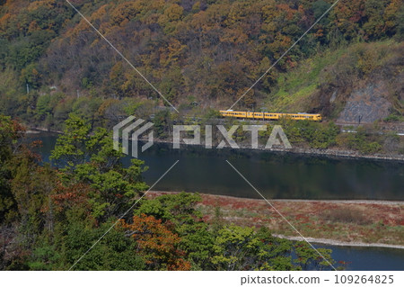 Autumn leaves on Takahashi River and Hakubi Line 115 series train Autumn leaves on Takahashi River and Hakubi Line 115 series train 109264825