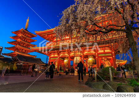 Sensoji Temple, Taito Ward, Tokyo, Hozomon and cherry blossoms in full bloom Sensoji Temple, Taito Ward, Tokyo, Hozomon and cherry blossoms in full bloom 109264950