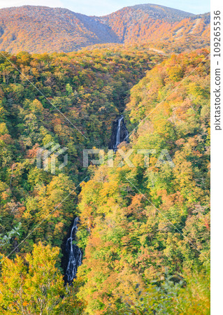 宮城縣藏王町的藏王三樓瀑布與紅葉景觀 宮城縣藏王町的藏王三樓瀑布與紅葉景觀 109265536