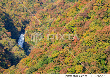 Fudo Falls and the scenery of Zao with autumn leaves, Zao Town, Miyagi Prefecture 109265539