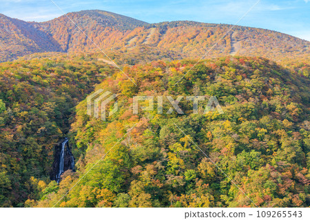 View of Zao with third floor waterfall and autumn leaves, Zao Town, Miyagi Prefecture View of Zao with third floor waterfall and autumn leaves, Zao Town, Miyagi Prefecture 109265543