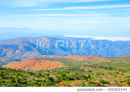 Scenery seen from Zao in autumn Zao Town, Miyagi Prefecture Scenery seen from Zao in autumn Zao Town, Miyagi Prefecture 109265544