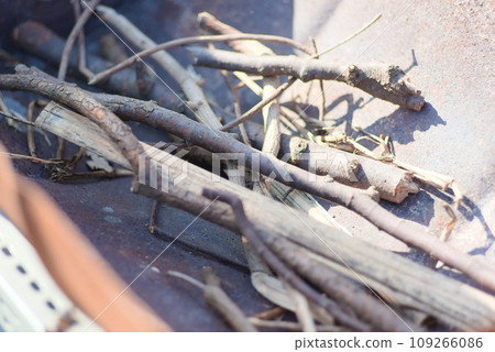 Branches casually placed inside a drum Branches casually placed inside a drum 109266086